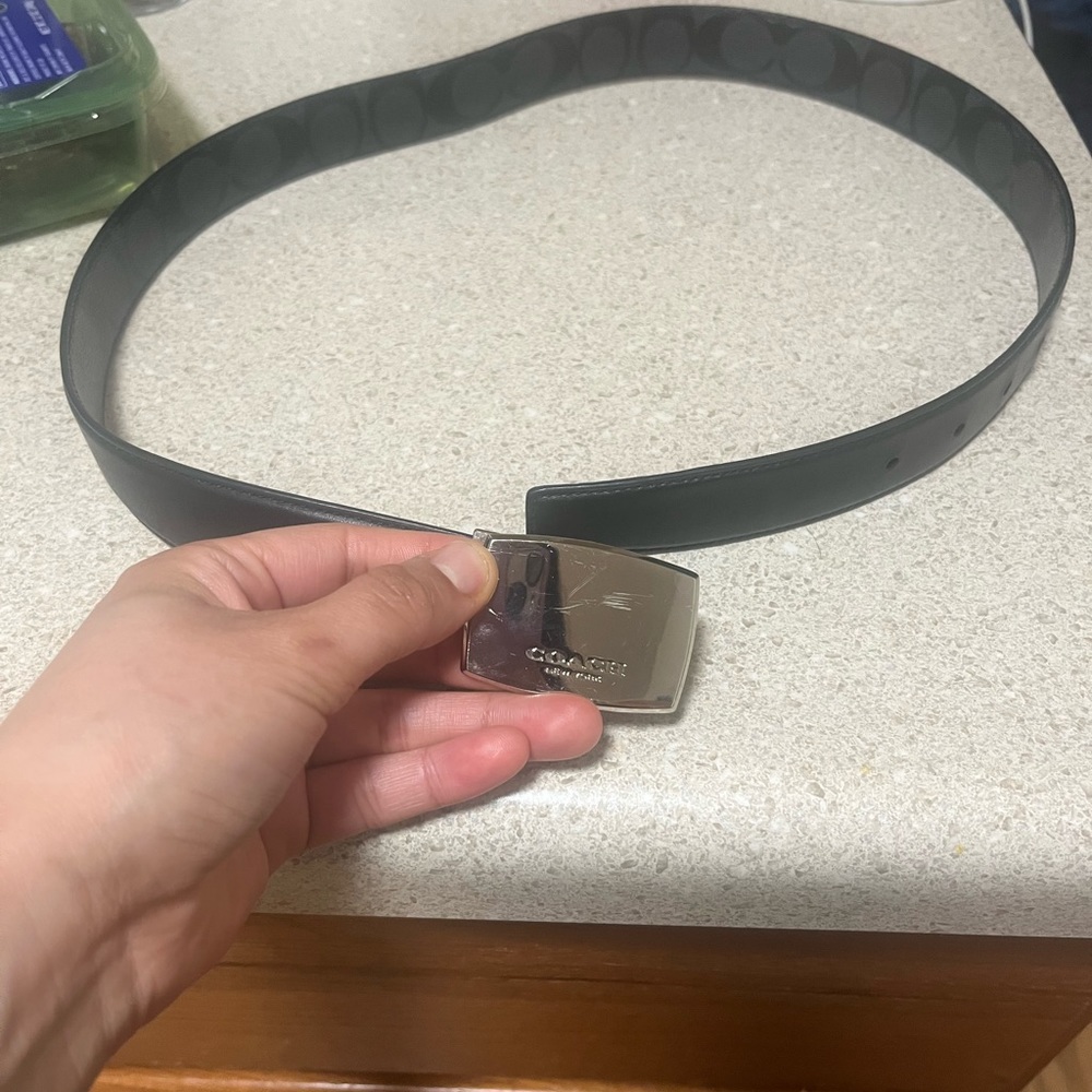 Coach belt